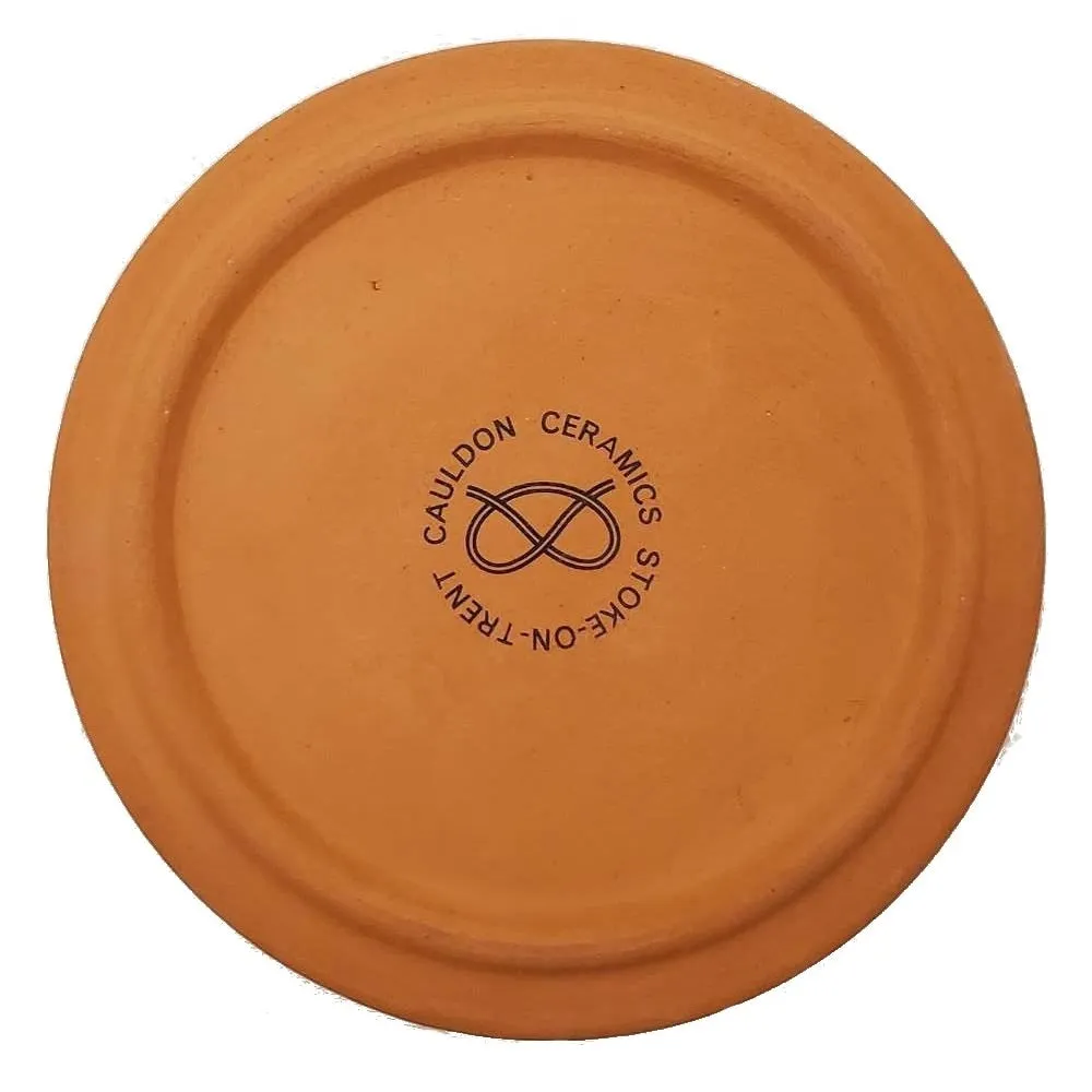Cauldon Redware Medium Coffee Storage Jar in Terracotta Brown
