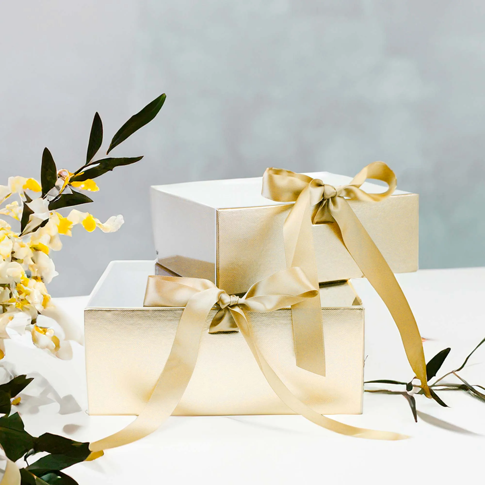 Elegant Clear Lid Gift Box with Ribbon for Special Occasions - Set of 2