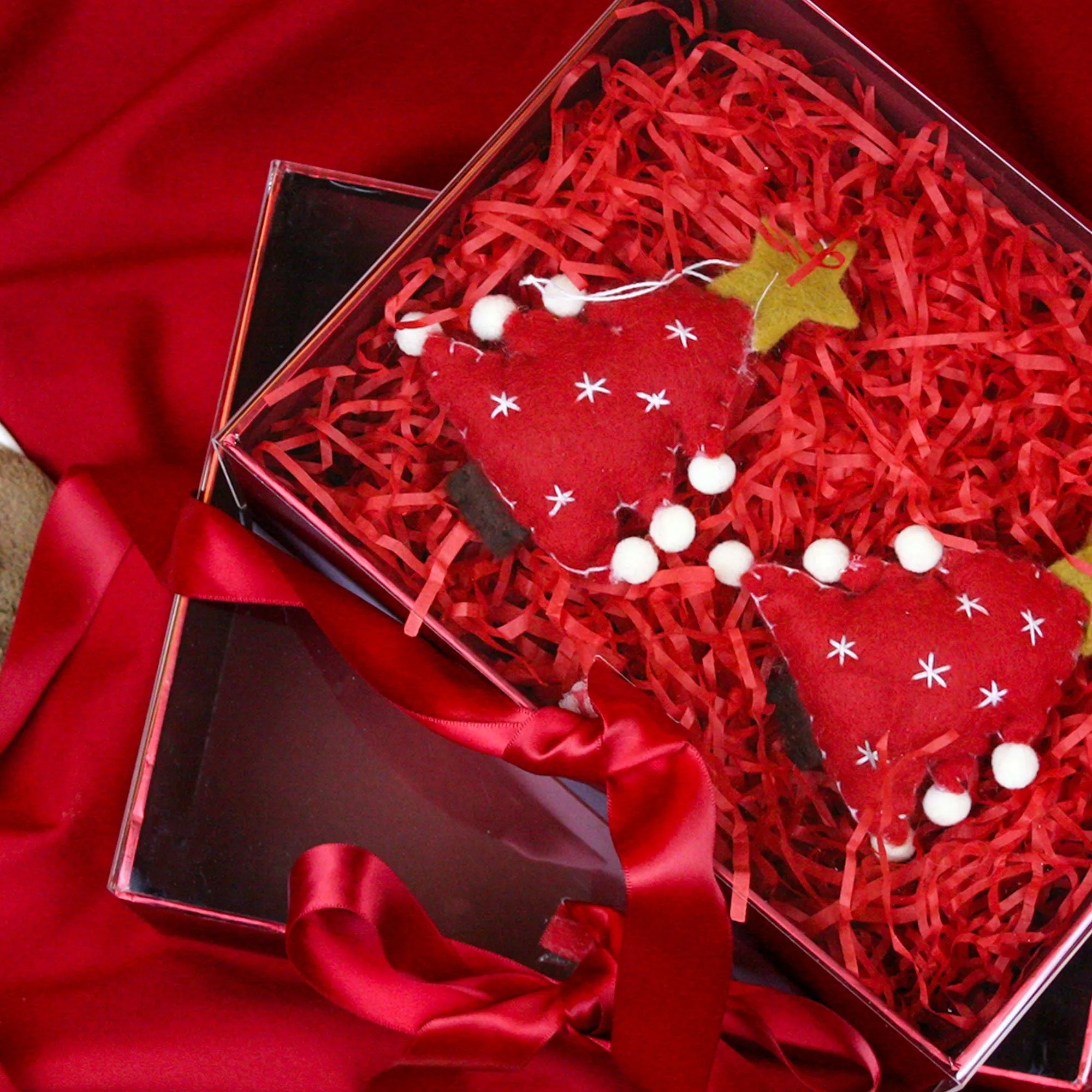 Elegant Clear Lid Gift Box with Ribbon for Special Occasions - Set of 2