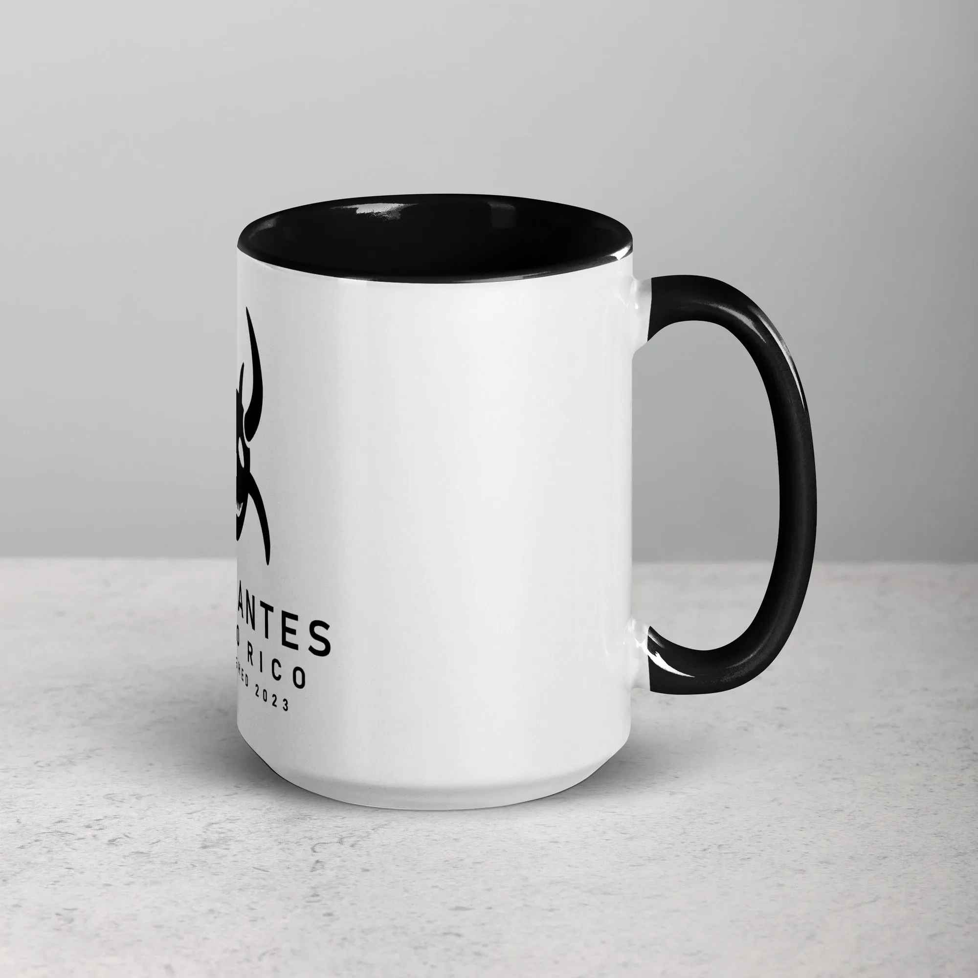 Mug with Color Inside