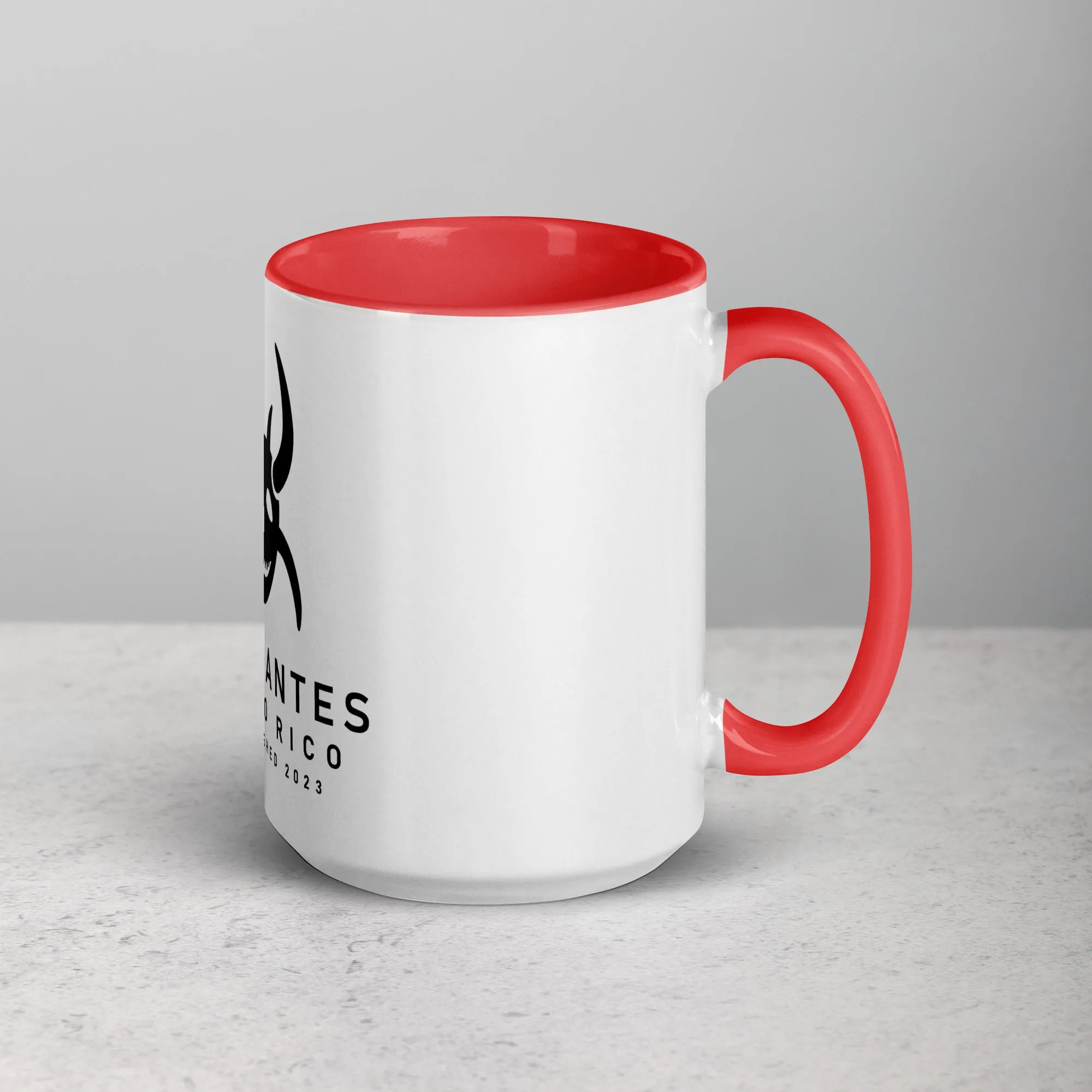 Mug with Color Inside