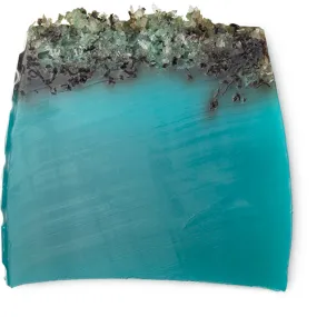Sea Vegetable